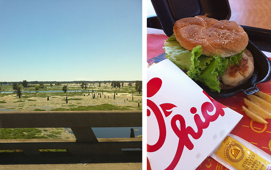 Louisiana is fascinating if you love wetlands. Chick-Fil-A is ALWAYS fascinating.
