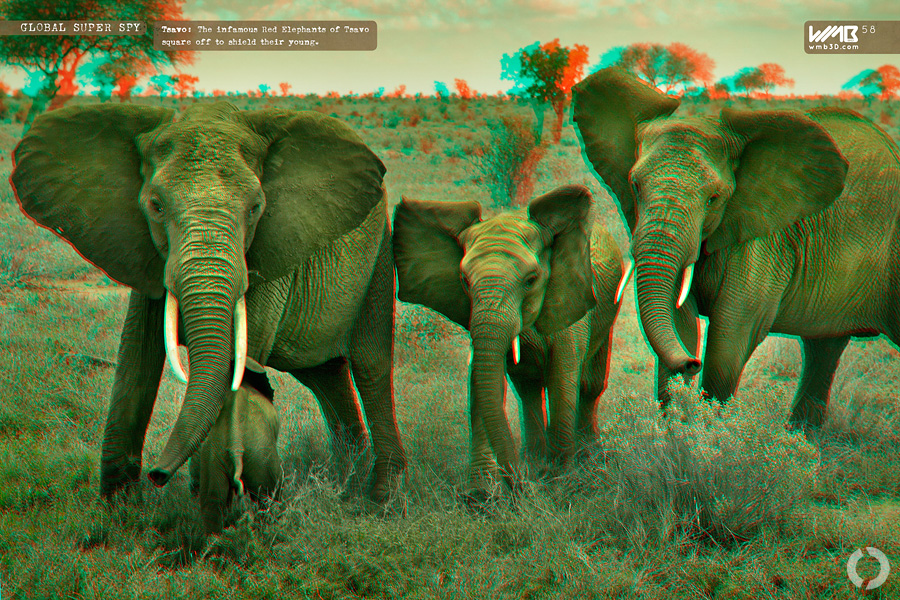 WMB Issue #2 - Kenya **View with red/cyan 3D glasses**